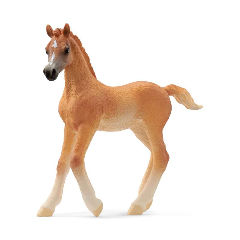 Schleich 13984 아라비아 망아지