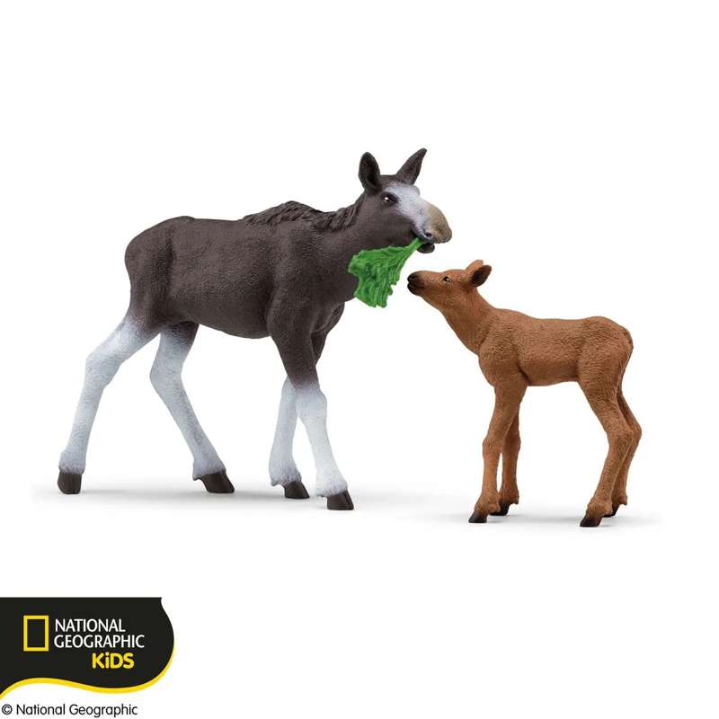 Schleich 42603 송아지와 암소 엘크 (NatGeo)