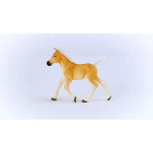 이미지를 갤러리 뷰어에 로드 , Schleich 13951 Haflinger 망아지
