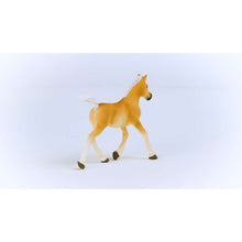 이미지를 갤러리 뷰어에 로드 , Schleich 13951 Haflinger 망아지
