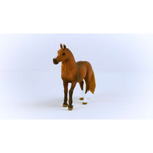 이미지를 갤러리 뷰어에 로드 , Schleich 13953 Paso Peruano 암말
