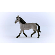 이미지를 갤러리 뷰어에 로드 , Schleich 13955 Cheval de Selle Francais 암말
