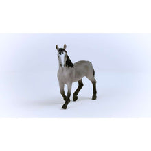 이미지를 갤러리 뷰어에 로드 , Schleich 13955 Cheval de Selle Francais 암말
