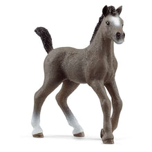 이미지를 갤러리 뷰어에 로드 , Schleich 13957 Cheval de Selle Francais 망아지
