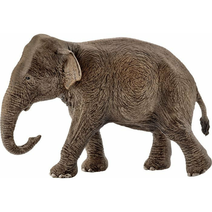 슐라이히 와일드 라이프 14753  아시아 코끼리 암소