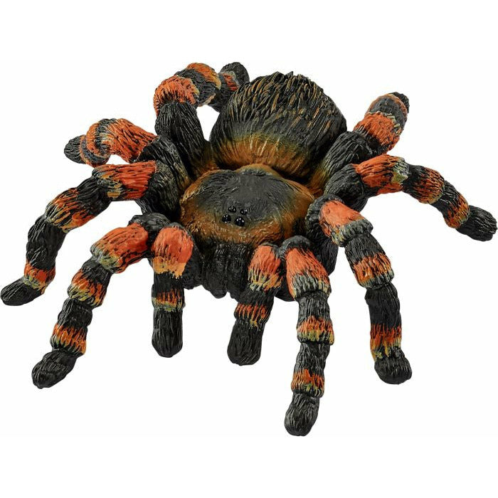 슐라이히 와일드 라이프 14829  타란툴라 거미